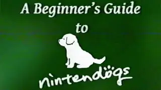 A Beginner's Guide to Nintendogs