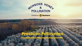 BeeHero & Monsons Precision Pollination