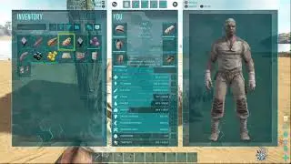 ark22