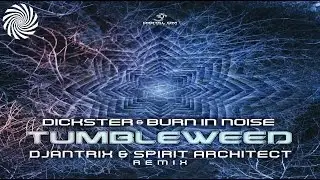 Dickster & Burn in Noise - Tumbleweed (Djantrix & Spirit Architect Rmx)