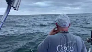 Lake Ontario, king salmon fishing. Olcott, New York. September 9, 2023.
