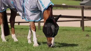 WeatherBeeta ComFiTec Double Dart Deluxe Fly Mask With Ears