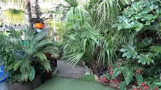 Small Tiki Garden, Zwijndrecht, the Netherlands
