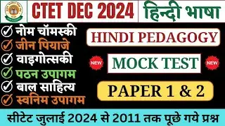 सीटेट 2024 हिन्दी महत्वपूर्ण प्रश्न | CTET Hindi Pedagogy | CTET Hindi Important Questions