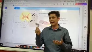 Video expositor de la figura 3 del reflejo rotuliano o patelar del sub grupo 8, clase pr&aacute;ctica 7