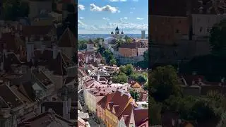 Climbing to the top of the tallest building in Tallinn &mdash; St. Olaf&rsquo;s Church 🌟