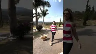 Voc&ecirc;s conhecem o Ladiv'tt&aacute; hotel em Atibaia?