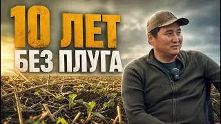 No-Till: как сохранить влагу и заработать больше?