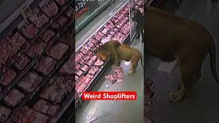 5 Weirdest Animals Caught Breaking Into Stores #shorts