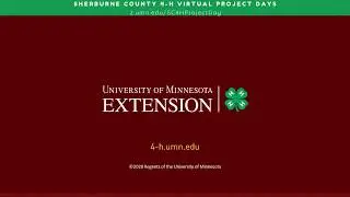 Basic Livestock Information, a Sherburne County 4-H Virtual Project Day session