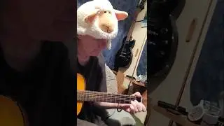 So i called up the Captain - Hotel California spoof #shorts #acousticguitar #guitar