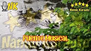 SE ACABÓ EL AMOR - Los Pasteles Verdes Karaoke