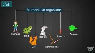 Introduction to cells| Science| Grade-7,8 | Tutway |