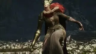 Elden ring Malenia kill by random person.