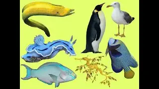 Learn names and sounds sea animals part 2 | Animals for Kids @SmartFamilyEnglish
