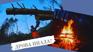 ПРИКОЛ / ДЕТИ КАТАЮТ ЧУРКИ В ЛАГЕРЬ