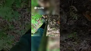Upstate Ny metal detecting