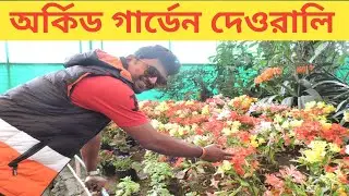Orchid Garden Sikkim Gangtok #rohosyoved #flower #sikkim