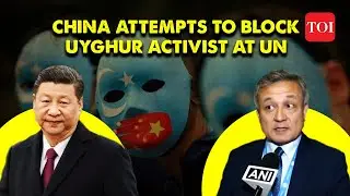 Uyghur Congress president Dolkun Isa faces interruptions from Chinese delegation at UNHRC session