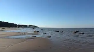 Кальви  2019