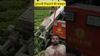 Groundnut harvesting Combine || mungfali harvesting