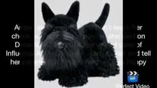 R.I.P Amber aka pooflyn we love and miss you