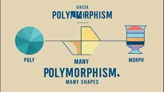 Polymorphism in Python: The Ultimate Game-Changer for Coders #videos #video #ytvideo #polymorphism