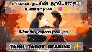 Current feelings of your person,&what they expects from you😶&zwj;🌫️🥴🫠😮&zwj;💨#nocontactreading#fortunetelling