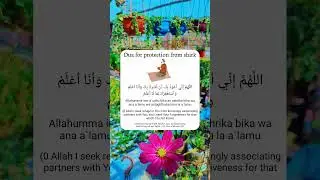 Dua for protection from shirk