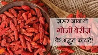 Goji barry l Health Benefits of Goji Berry in Hindi | Goji berry benefits