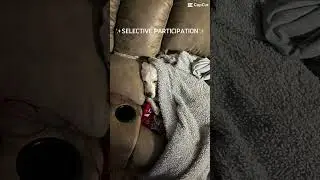 ✨Selective Participation ✨