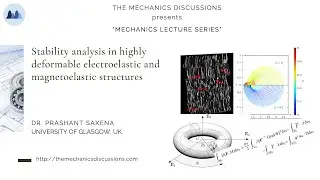 Lec 20: Stability analysis in highly deformable electro elastic and magenetoelastic structures