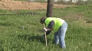 Great American Clean Up