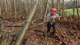 Свалить повешенное дерево