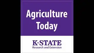 2089 - New Year's Cattle Market...Extension for Producers
