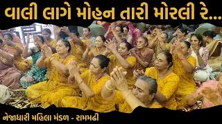 વાલી લાગે મોહન તારી મોરલી રે || New Bhajan 2024 || New Gujarati Kirtan 2024 || Hans Wahini Official