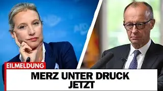 VOR 3 MINUTEN! Weidel-Merz-Story im Faktencheck
