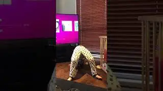 Georgettes very own choreography