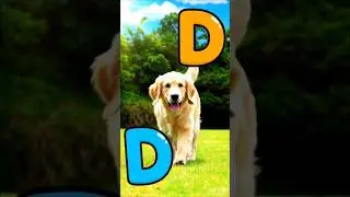 Learn ABCD with Fun, ABCD for Toddlers #abcdforkids #preschoollearning #kidsvideo #nurseryrhymes