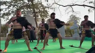 Newzealand Maori Tribes Dance in Medaram Jathara 2026