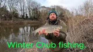 Winter Chub fishing ep1