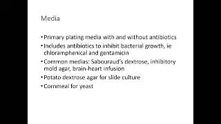 Overview of Fungal Identification Methods and Strategies