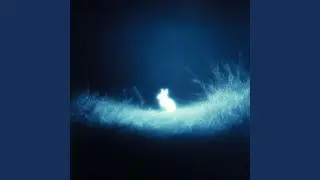 Soul Ascent