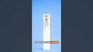 2 Feet vs 3,000 Feet Drop Test 💀 #whatif #shorts #nature #trending #droptest #extremetest