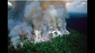 Fire in Amazon forest 😭😭😩😩😱😓😞😢😥