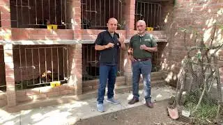 DOSIFICACION EN NUESTRO GALPON | PROCESO DE MUDA 2022