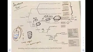Identification of Unknowns Solubility Test