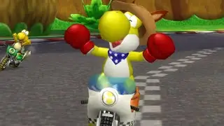 Yoshi (Kangaroo) in Mario Kart Wii