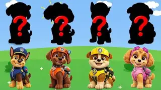 Paw Patrol and Friends Learn Kids Useful Stories for Kids Cartoon Paw Patrol