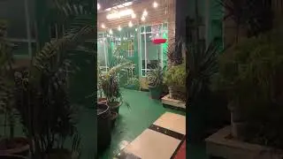 The Green Shadow || 📍Ctg📍 #nature | #restaurant